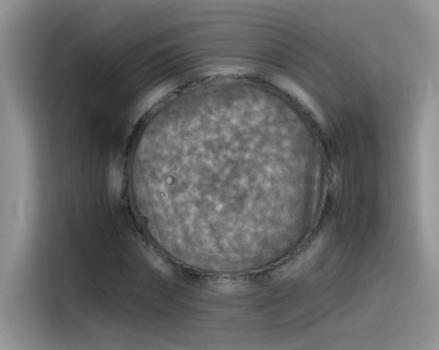 X0000115510874200911131339