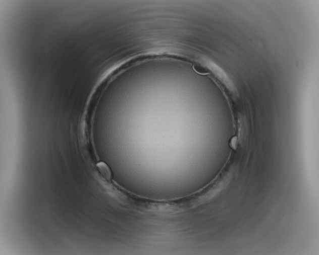 X0000115510876200911131339