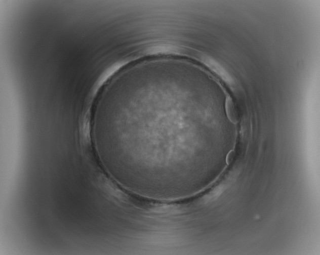 X0000115510877200911131339