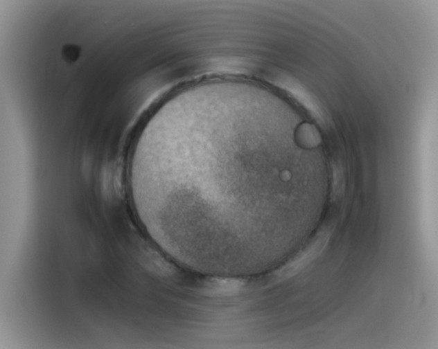 X0000115510878200911131339