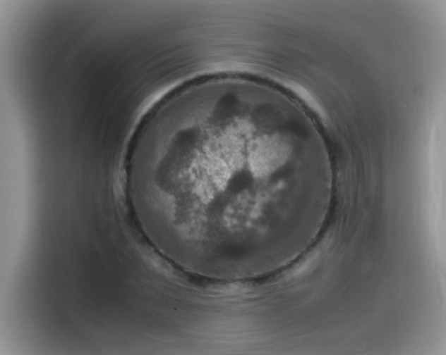 X0000115510879200911131339