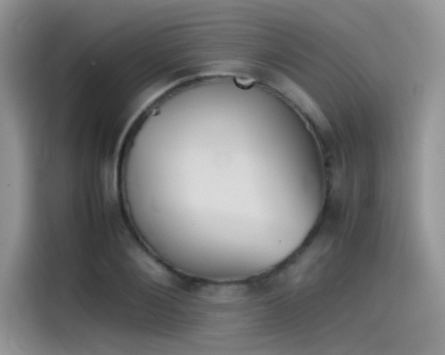 X0000115510884200911131339