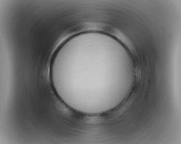 X0000115510886200911131339