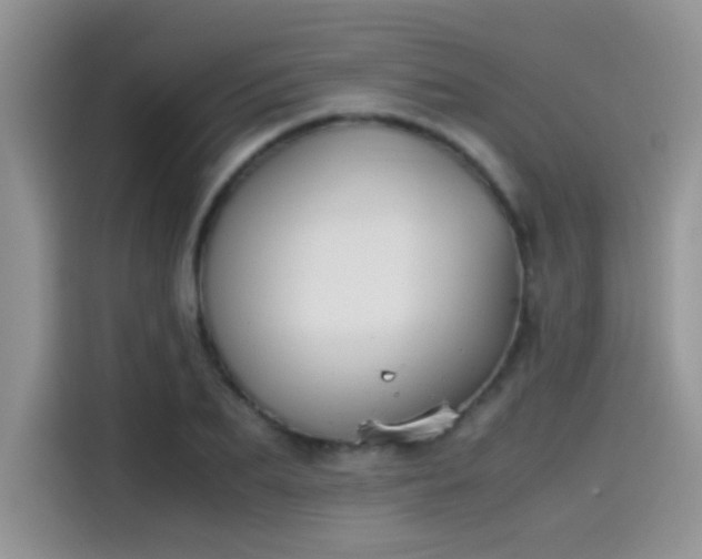 X0000115510887200911131339