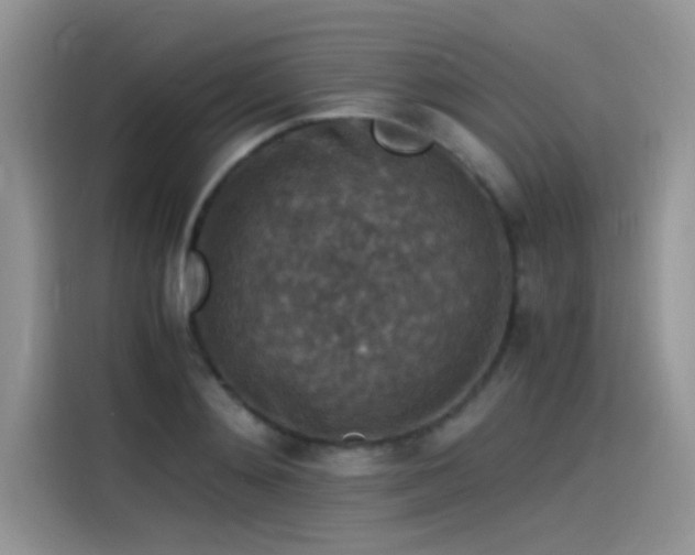 X0000115510892200911131339