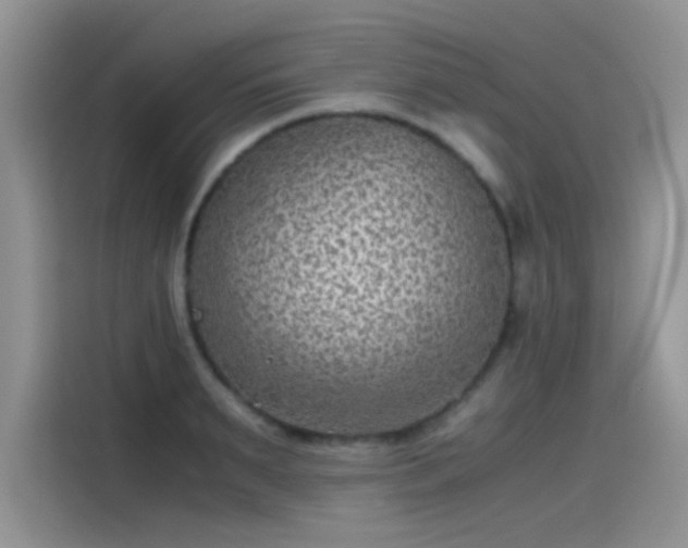 X0000115510895200911131338