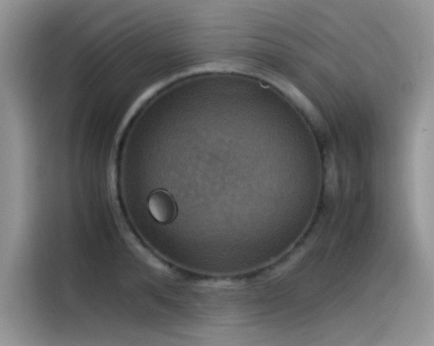 X0000115510896200911131338