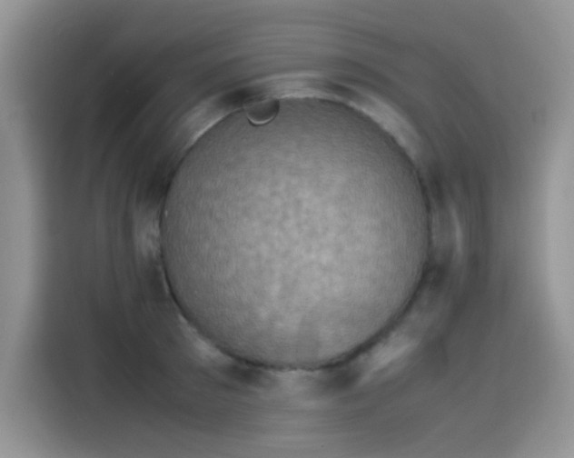 X0000115510897200911131338