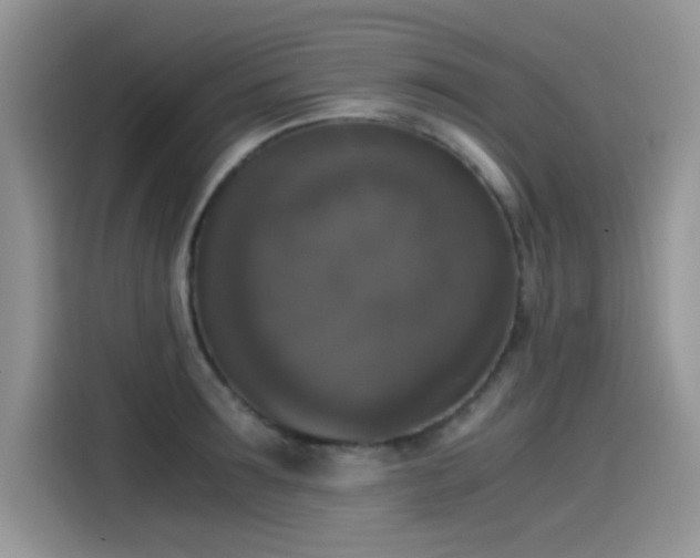 X0000115510899200911131338