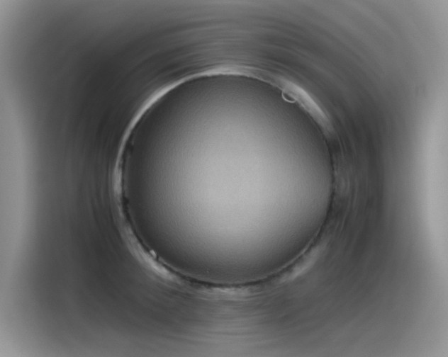 X0000115510900200911131338