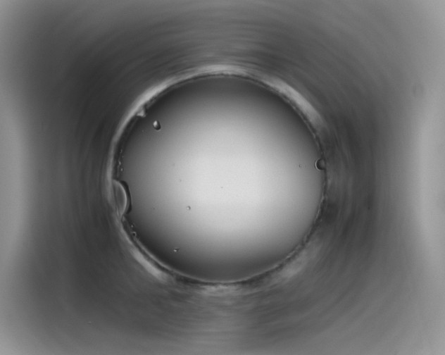 X0000115510902200911131338