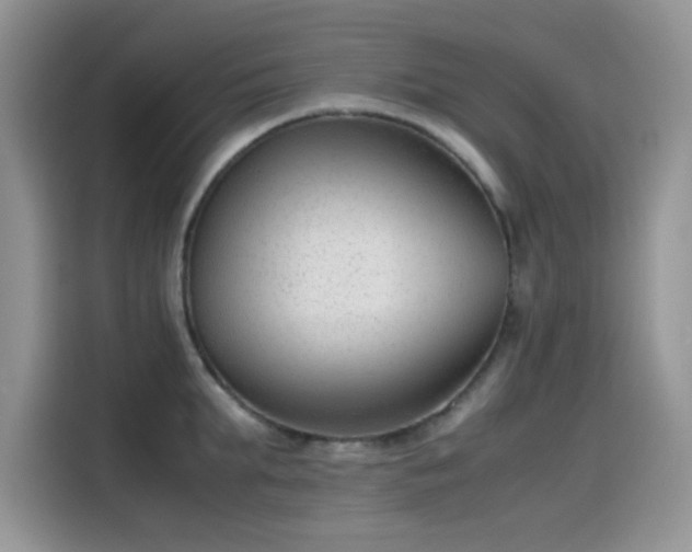 X0000115510903200911131338