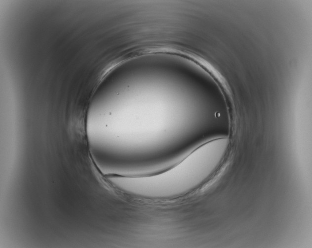 X0000115510905200911131338