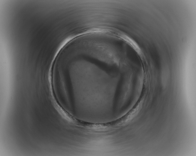 X0000115510907200911131338