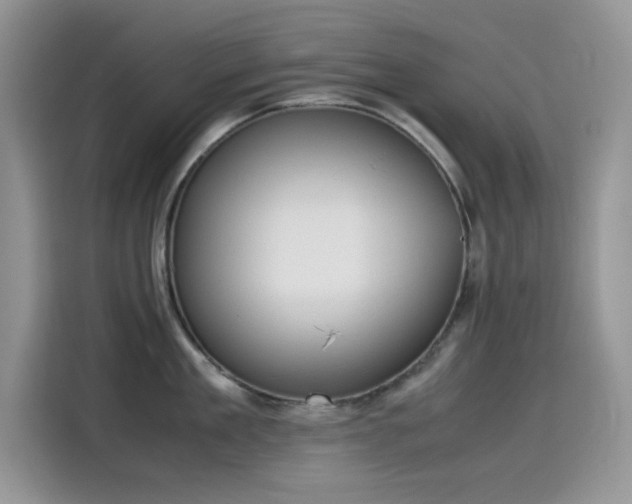 X0000115510909200911131338