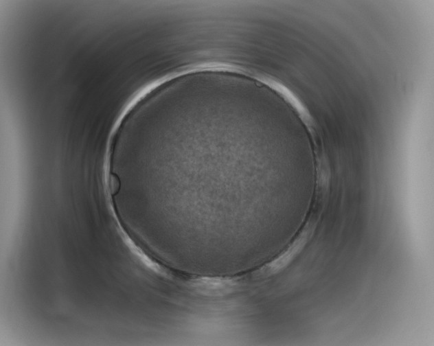 X0000115510910200911131338