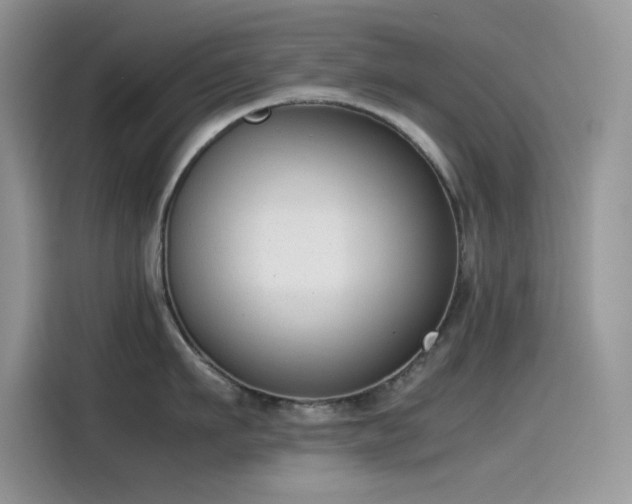 X0000115510911200911131338