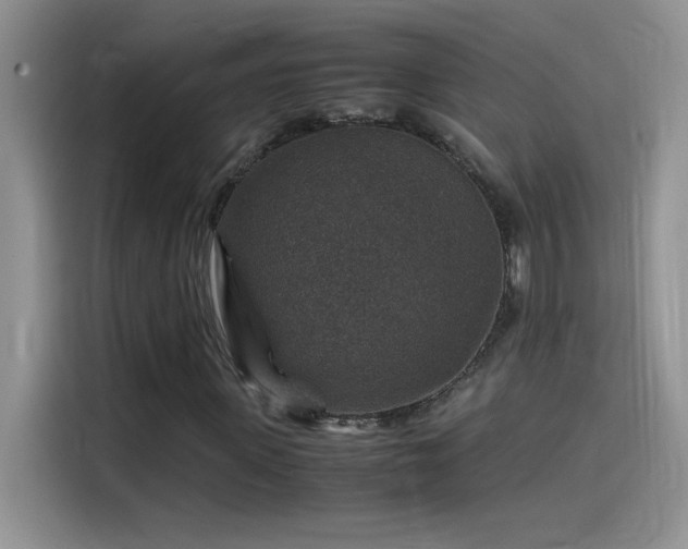 X0000115510915200911131338