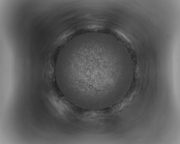 X0000115510917200911131338