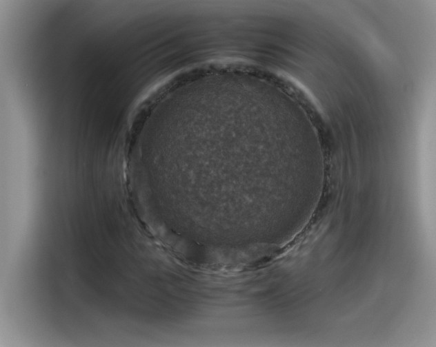 X0000115510919200911131338