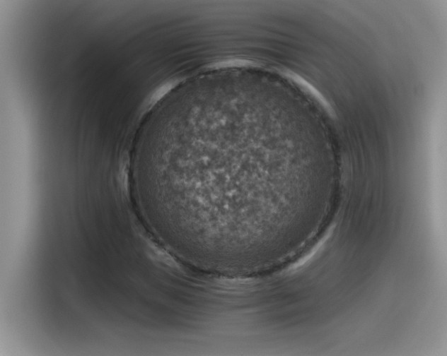 X0000115510921200911131338