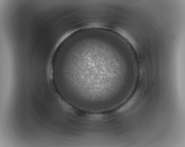 X0000115510925200911131338