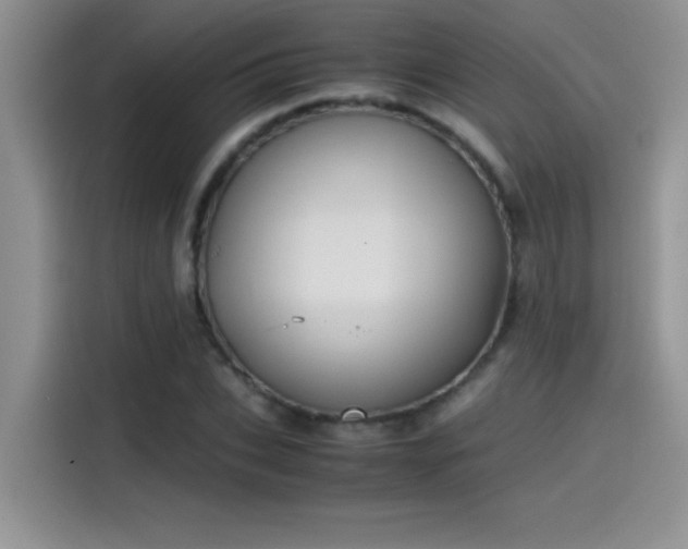 X0000115510927200911131338