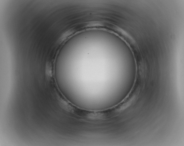 X0000115510929200911131338