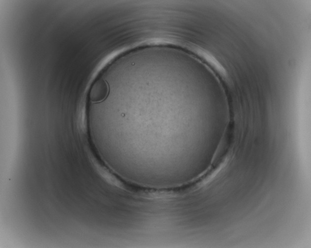 X0000115510934200911131338