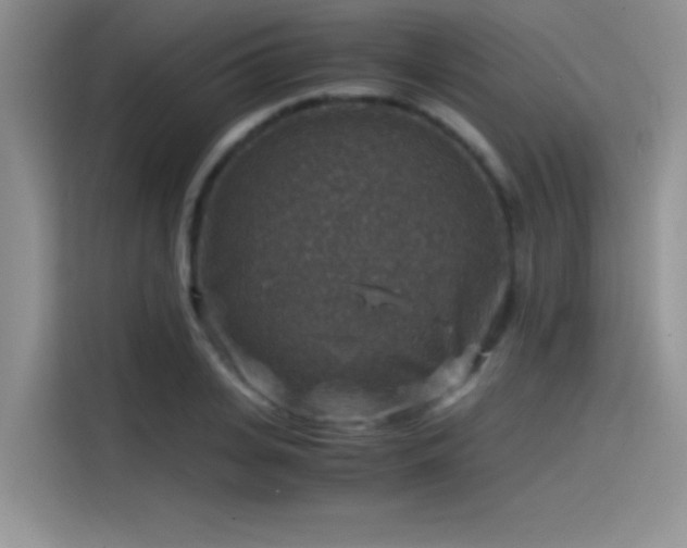 X0000115510935200911131338