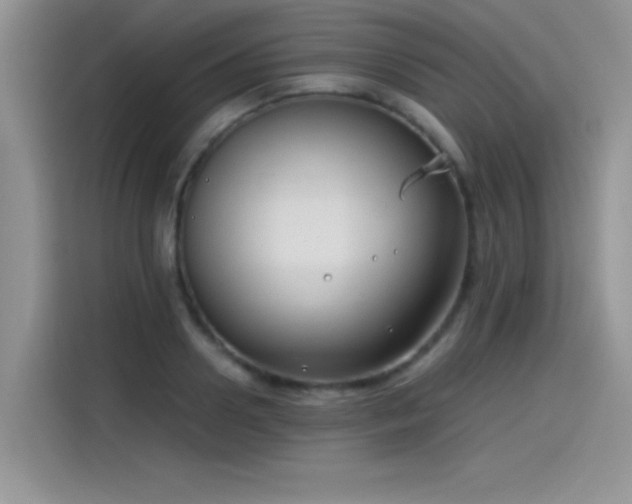 X0000115510938200911131338