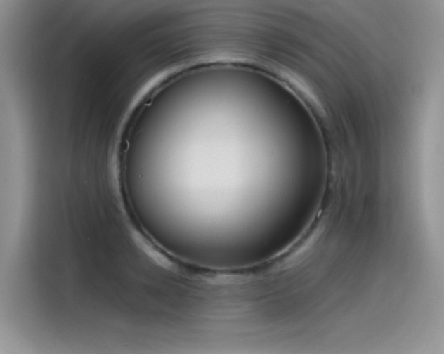 X0000115510942200911131338