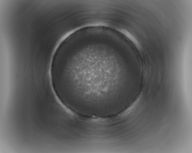 X0000115510943200911131338