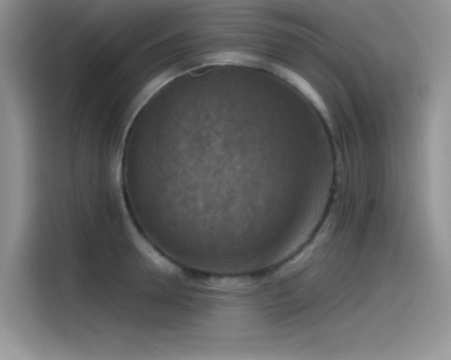 X0000115510946200911131338