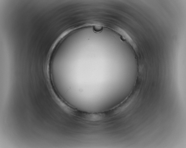 X0000115510947200911131338