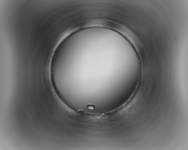 X0000115510949200911131338