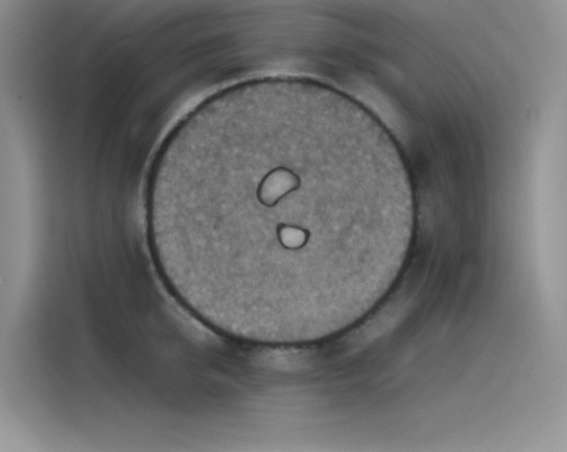 X0000115510950200911131338