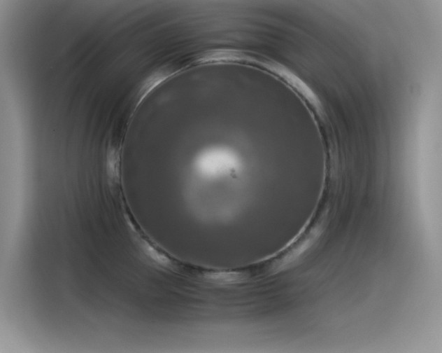 X0000115510953200911131338