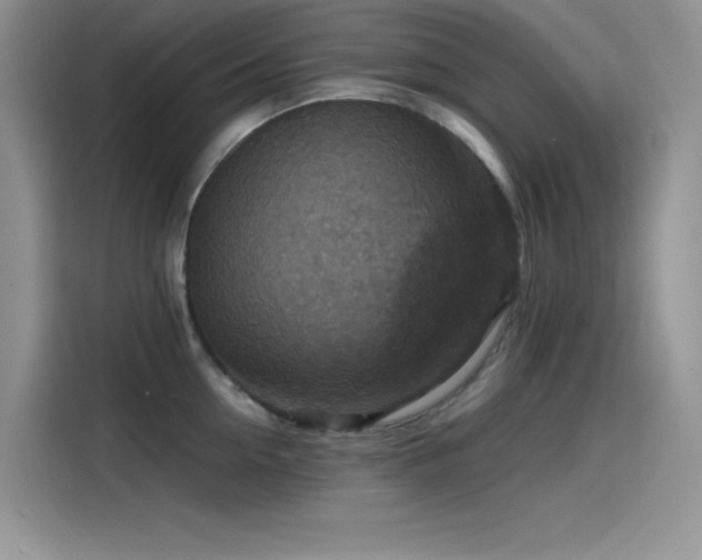 X0000115510954200911131338