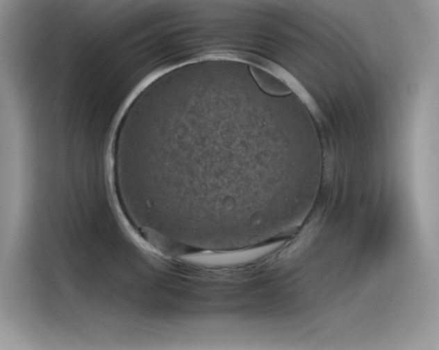 X0000115510955200911131338