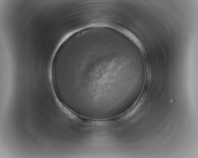 X0000115510958200911131338