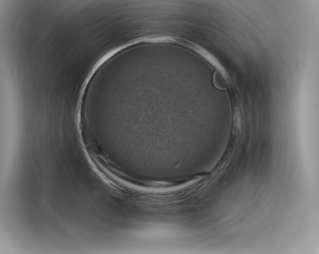 X0000115510959200911131338