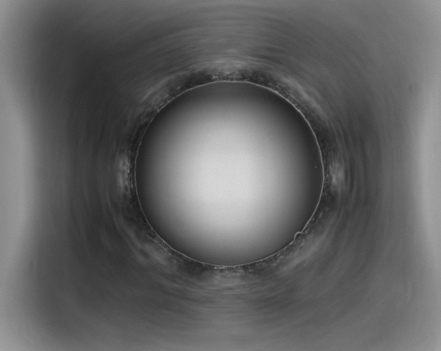 X0000115510964200911131338