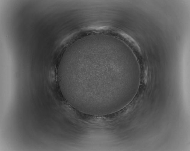 X0000115510966200911131338