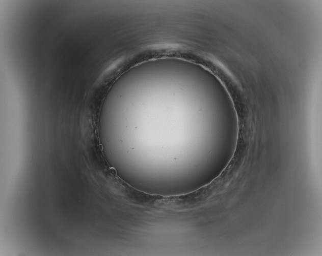 X0000115510967200911131338