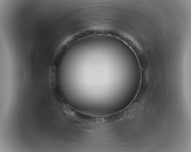 X0000115510968200911131338