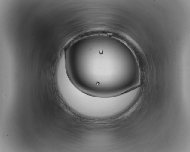 X0000115510969200911131338