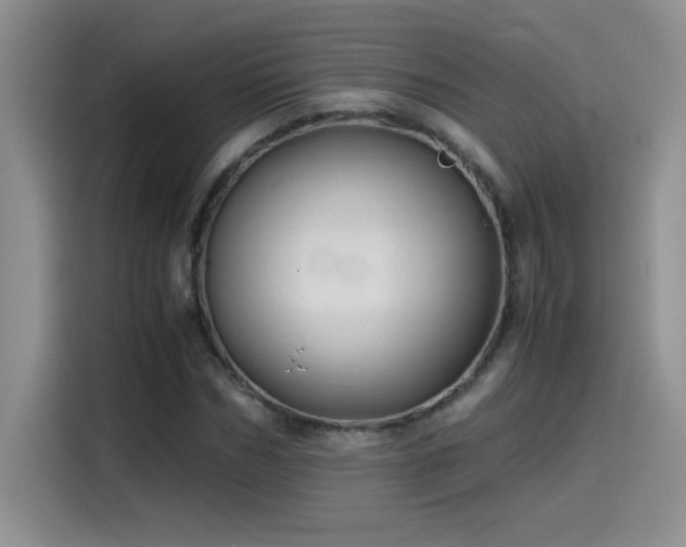 X0000115510970200911131338