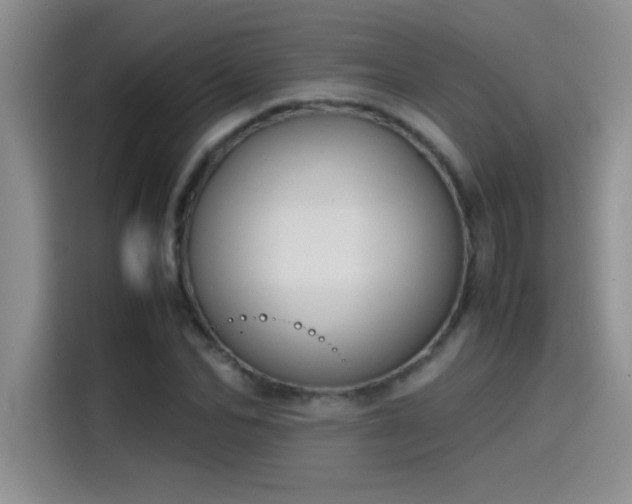 X0000115510974200911131337