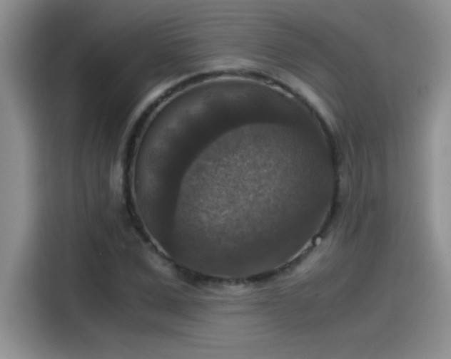 X0000115510975200911131337